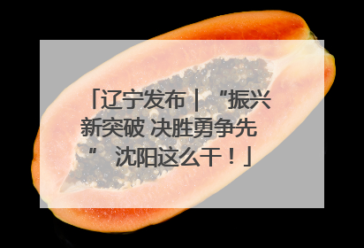 辽宁发布｜“振兴新突破 决胜勇争先” 沈阳这么干！