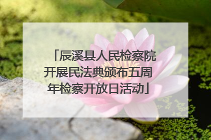 辰溪县人民检察院开展民法典颁布五周年检察开放日活动