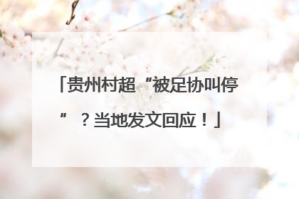 贵州村超“被足协叫停”？当地发文回应！