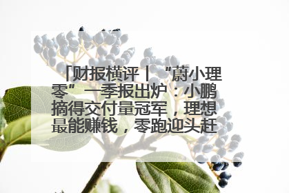 财报横评丨“蔚小理零”一季报出炉：小鹏摘得交付量冠军，理想最能赚钱，零跑迎头赶上，蔚来还在调整