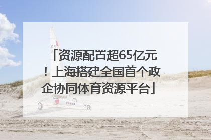 资源配置超65亿元！上海搭建全国首个政企协同体育资源平台