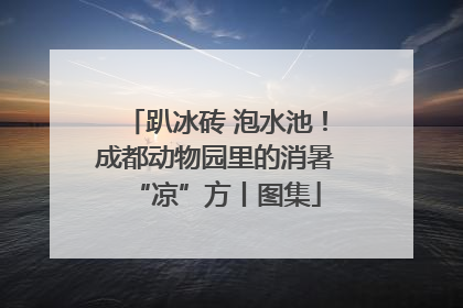 趴冰砖 泡水池！成都动物园里的消暑“凉”方丨图集