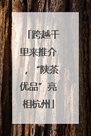 跨越千里来推介，“陕茶优品”亮相杭州