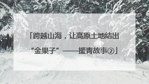 跨越山海，让高原土地结出“金果子”——援青故事②