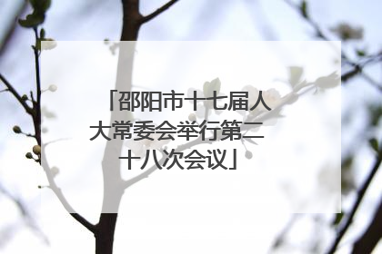 邵阳市十七届人大常委会举行第二十八次会议