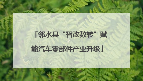 邻水县“智改数转”赋能汽车零部件产业升级
