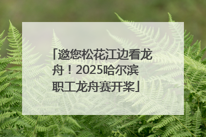 邀您松花江边看龙舟！2025哈尔滨职工龙舟赛开桨