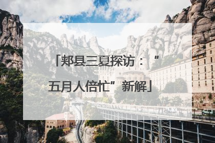 郏县三夏探访：“五月人倍忙”新解