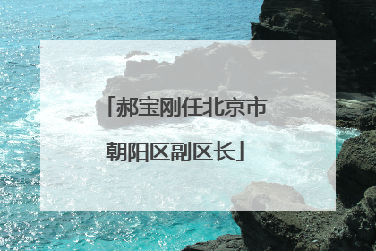 郝宝刚任北京市朝阳区副区长