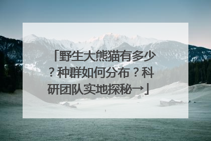 野生大熊猫有多少？种群如何分布？科研团队实地探秘→