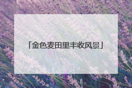 金色麦田里丰收风景