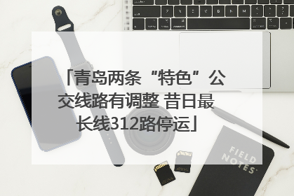 青岛两条“特色”公交线路有调整 昔日最长线312路停运