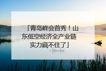 青岛峰会首秀！山东低空经济全产业链实力藏不住了