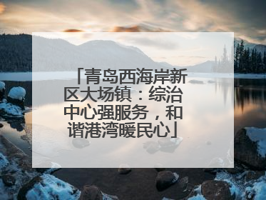 青岛西海岸新区大场镇：综治中心强服务，和谐港湾暖民心