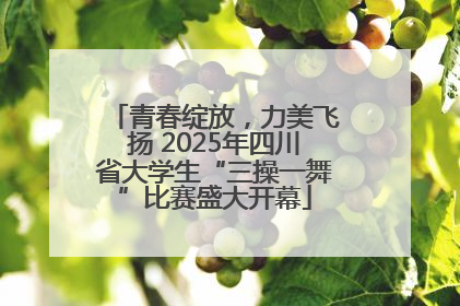 青春绽放，力美飞扬 2025年四川省大学生“三操一舞”比赛盛大开幕