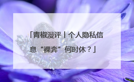 青椒漫评丨个人隐私信息“裸奔”何时休？