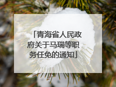 青海省人民政府关于马瑞等职务任免的通知