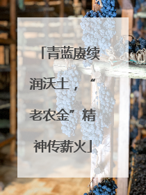 青蓝赓续润沃土，“老农金”精神传薪火