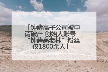 钟薛高子公司被申请破产 创始人账号“钟薛高老林”粉丝仅1800余人