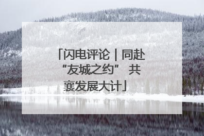 闪电评论｜同赴“友城之约” 共襄发展大计