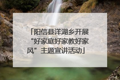 阳信县洋湖乡开展“好家庭好家教好家风”主题宣讲活动