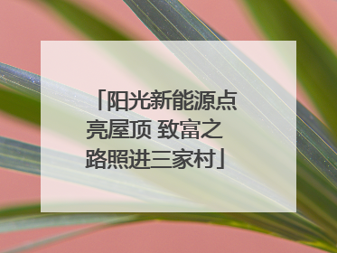 阳光新能源点亮屋顶 致富之路照进三家村