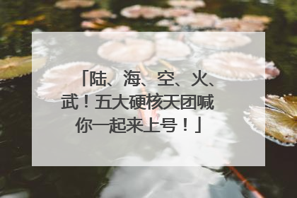 陆、海、空、火、武！五大硬核天团喊你一起来上号！