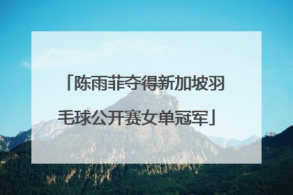 陈雨菲夺得新加坡羽毛球公开赛女单冠军