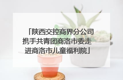 陕西交控商界分公司携手共青团商洛市委走进商洛市儿童福利院