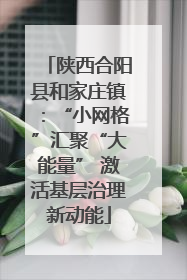 陕西合阳县和家庄镇：“小网格”汇聚“大能量” 激活基层治理新动能