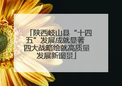 陕西岐山县“十四五”发展成就显著 四大战略绘就高质量发展新图景