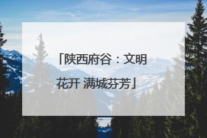 陕西府谷：文明花开 满城芬芳