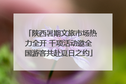 陕西暑期文旅市场热力全开 千项活动邀全国游客共赴夏日之约