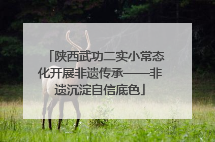 陕西武功二实小常态化开展非遗传承——非遗沉淀自信底色