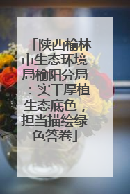 陕西榆林市生态环境局榆阳分局：实干厚植生态底色，担当描绘绿色答卷