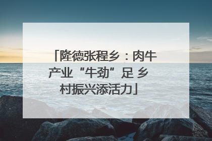 隆德张程乡：肉牛产业“牛劲”足 乡村振兴添活力
