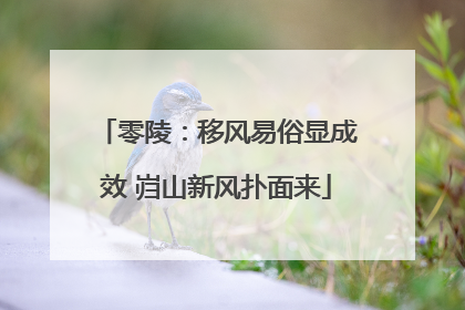 零陵：移风易俗显成效 岿山新风扑面来