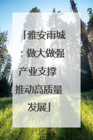 雅安雨城：做大做强产业支撑 推动高质量发展