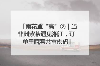 雨花登“高”②｜当非洲紫茶遇见湘江，订单里藏着共富密码