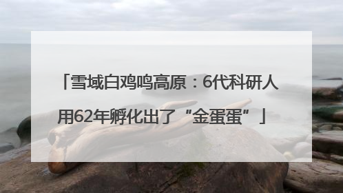 雪域白鸡鸣高原：6代科研人用62年孵化出了“金蛋蛋”