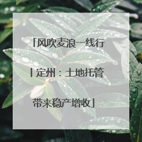 风吹麦浪一线行丨定州：土地托管带来稳产增收