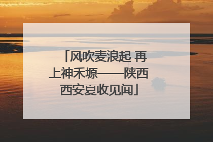 风吹麦浪起 再上神禾塬——陕西西安夏收见闻