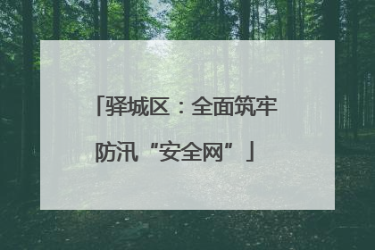 驿城区：全面筑牢防汛“安全网”