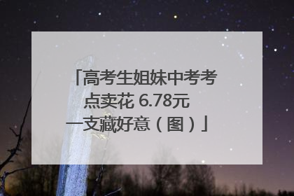 高考生姐妹中考考点卖花 6.78元一支藏好意（图）