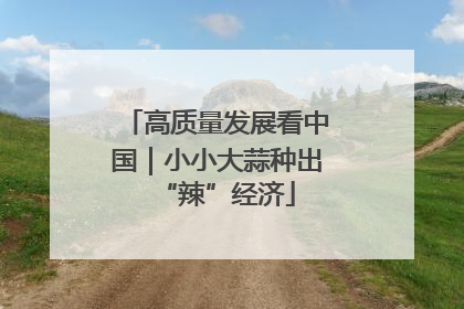 高质量发展看中国｜小小大蒜种出“辣”经济