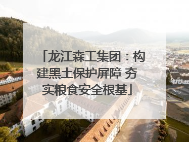 龙江森工集团：构建黑土保护屏障 夯实粮食安全根基