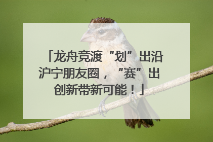 龙舟竞渡“划”出沿沪宁朋友圈，“赛”出创新带新可能！