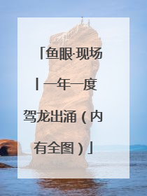鱼眼·现场丨一年一度 驾龙出涌（内有全图）