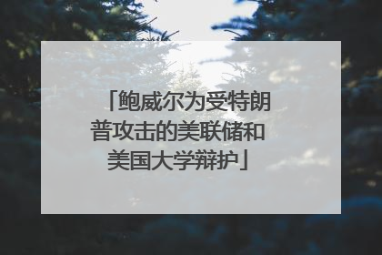 鲍威尔为受特朗普攻击的美联储和美国大学辩护