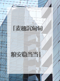 麦穗沉甸甸 粮安稳当当